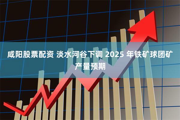 咸阳股票配资 淡水河谷下调 2025 年铁矿球团矿产量预期