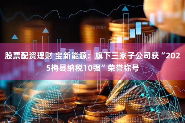 股票配资理财 宝新能源：旗下三家子公司获“2025梅县纳税10强”荣誉称号